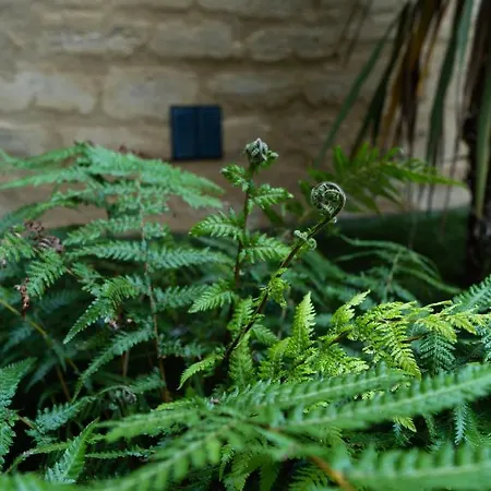 Le Temps Suspendu, Suite Troglodyte Avec Jacuzzi Doue-la-Fontaine Exterior photo